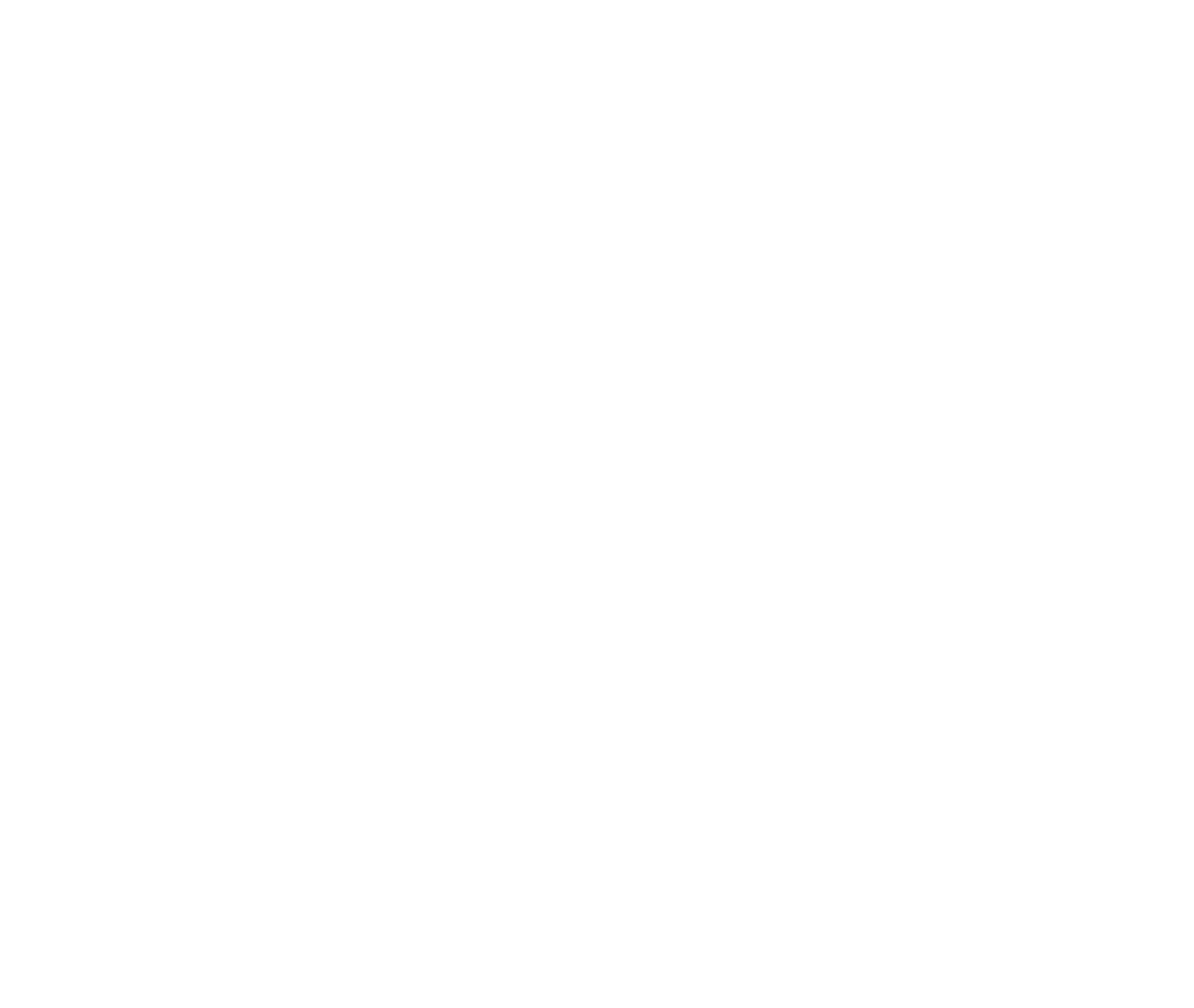 Logo Chubut Fideicomisos SA en color blanco